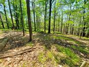 Affordable lot in the quaint hamlet of Cragsmoor. Enjoy the peace and nature on-top this special community minutes to 5000 acre Sam&rsquo;s Point Preserve and Bear Hill Preserve. Create your weekend get-away or full time home. Under 2 hours to the GW bridge.