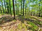 Affordable lot in the quaint hamlet of Cragsmoor. Enjoy the peace and nature on-top this special community minutes to 5000 acre Sam&rsquo;s Point Preserve and Bear Hill Preserve. Create your weekend get-away or full time home. Under 2 hours to the GW bridge.