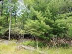Sale comes with 2 lots with water access! On this lovely quiet back country road in the Hamlet of Smallwood, you&rsquo;ll find these two contiguous residential lots available for your next home totaling just under 1 acre. Be it a weekend home or year round home, Smallwood offers many amenities when you join the Non-mandatory Lake Association. You will also be able to join the Smallwood Club that offers a nice heated outdoor pool and clubhouse. Located only a few miles from Bethel Woods for the Performing Arts, country farmers&rsquo; and flea markets, Catskills Resort Casino, the Kartrite Waterpark, and many other interesting adventures and places to see including our awarding winning breweries. May need a variance to build due to under 1 acre min. and possible wetlands.