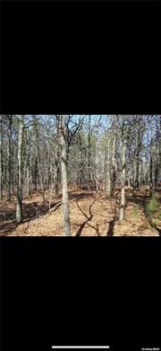 ****Beautiful Wooded Half Acre lot, Priced to sell fast 2 tax lots make up this 100 x 200 foot wooded lot,  Property is Single and Separate. 2 tax Lots approx. 50 x 200 each