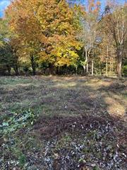 Build your deam home within the Harborfields community. Already subdivided and cannot be again as this is in 1 acre zoning. There is a conservation area of about a half-acre that can not be built on. The land is mostly cleared and partly wooded.