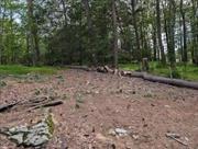 Cleared 1.09 acre building lot atop a hill with a view of Bodine Lake. Lot has been cleared for home site and has a drilled well in place. Septic plans on file.