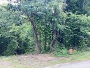 This 1 acre buildable lot is located on a quiet road in beautiful Columbia County. Easy access to TSP. Mature trees/woods with well, septic and electric. Lake rights (Twin Lakes).