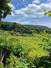 Beautiful open and cleared bucolic land, consisting of 55 acres of rolling meadows and woods teamed with nature. Road frontage on Pleasant Ridge Road as well as Stowe Road at the end of the cul-de-sac. Perfect for subdivision or your own Private Country Retreat. Nicely located in Picturesque Beekman known for West Mountain State Forest, Barton Orchards for fun entertainment, open farmland, and nicely developed subdivisions. The current driveways are on Stowe Road. (The driveways on Shown map are paper driveways not the current driveways.)