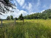 Escape to nature with this 55-acre parcel located just outside Livingston Manor. This expansive property offers views, lush forest and abundance of wildlife, making it a great spot for nature enthusiasts and hunters alike. The land boasts diverse landscapes, including woodlands, open trails and meadows, perfect for hiking, camping and exploring. With a variety of wildlife, this property is ideal for hunting Deer, Turkey and other game. With 55 Acres at your disposal, there is potential for subdivision, making this an attractive investment property. Approximately 2800+ feet of road frontage. Whether you&rsquo;re looking for a private retreat, a hunter&rsquo;s haven or a promising investment, this property offers endless possibilities. Don&rsquo;t miss out on this opportunity to own a piece of Livingston Manor&rsquo;s natural beauty.