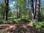 Great wooded Building lot perfect for your weekend get-a-way or year round retreat. Set privately off the main road this property offers beautiful hardwood and pine trees with quick access to area conveniences. Within 30 minutes to Port Jervis commuter trains, area hiking, Bethel Woods for music venues, farmers markets and the Delaware River for recreation. Only 2 Hours NYC. A great spot to set down your roots and enjoy the country! Additional Information: SoilType:Unknown,