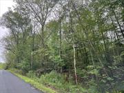 Beautiful 4.5 +/- acre parcel, mostly wooded! Build your dream home here! Easy access to major routes! 10 Minutes to Middletown shopping and amenities!! Don&rsquo;t miss out on this incredible opportunity to own a piece of land and create the home you have always envisioned. There is no engineering available.