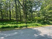 Very desirable and sought after residential lot with extensive road frontage along White Schoolhouse Road. The 3.8 acre lot has Board of Health approval. Build your dream home, just 5 minutes to the Village of Rhinebeck, yet privacy and country charm exude at this location.  2 Hours to NYC and 5 minutes to both the Taconic Parkway and Amtrak. Bring your vision and personal taste to this serene location.