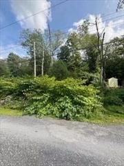 Build your dream home in picturesque Blooming Grove! This prime lot is just waiting for someone to transform it into a spectacular residence. Whether you envision it as your personal haven, a rental property, or a charming Airbnb, this spot is perfect for any purpose. With water and sewer hookups already in place, your construction process will be smooth and efficient. Just 60 minutes from NYC and conveniently located near shops, dining, and transportation, this lot offers the ideal blend of tranquility and accessibility. Donâ€™t miss this incredible opportunity to create something truly special!