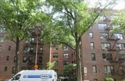 Great opportunity to own a co-op close to Pelham parkway, Bronx Zoo and Botanical gardens. Access to Bronx River Parkway. Hardwood floors, windowed bathroom.