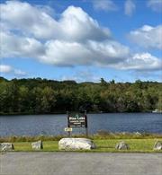 Now is the time to build your dream home on this 5.42-acre lot in the Pine Lake Community. Located in beautiful Sullivan County you have access to the pristine Pine Lake for swimming, boating, and fishing. I have been told that the fishing is great. Pine Lake is a non-motor boat lake, but electric motor is allowed. Spend a sunny day at the common area at the lake sunbathing while watching the Eagles soaring over head! The lot was previously engineered, but you will need to have a updated perc test for Board of Health approval. Pine Lake is less than 2 hours from the city. All of the attractions that bring people to Sullivan County are close by. The Casino, Bethel Woods for concerts, Farmers markets, Restaurants, and much much more! This lot won&rsquo;t last long so come see it and make a offer!