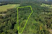 Fully Board of Health Approved and shovel-ready. Private gorgeous 9.97 acre parcel in prime Stone Ridge, less than 0.25 miles from town. Conservation easement in place providing tax benefits to owner. Bring your plans or architect to create your vision.