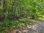 Located in the sought-after Rhinebeck area, this BOHA-approved lot offers a fantastic opportunity to build a custom one-bedroom home. With endless possibilities, you can design the perfect space for a weekend escape or a comfortable place for someone looking to downsize or begin their journey. This lot provides the perfect canvas for your dream home. With its prime location and easy access to Kingston & nearby amenities and attractions. Enjoy the vibrant community, local shops, restaurants, and outdoor activities that Rhinebeck (and the surrounding area) has to offer. Whether you&rsquo;re looking for a serene place to unwind or a cozy spot to call home, this property provides endless possibilities for your dream home. Don&rsquo;t miss this opportunity to bring your vision to life in this desirable location!