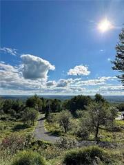 Check out this stunning location! Majestic mountain views along Skyline Drive in between Neversink and Rondout Reservoirs. This is an entire first floor apartment being offered fully furnished for rent with all utilities (electric, TV, internet) included. Tenant will have access to the saltwater pool on the property. LED lights illuminate the patio so you can enjoy warm evenings outside as the sun sets behind the mountains. Updated floors and appliances. Gorgeous wood burning fireplace to cozy up to during the winter months. Come see for yourself!