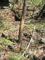 LOCATION, LOCATION! Has 13 advantages: #1 Minisink Valley School District, #2 16.7acres, #3 over 1000ft of road frontage, #4 Buildable 3.5 lot was approved in 1981 for a 4 bedroom home, #5 private, #6 secluded, #7 2.5 acres cleared, #8 close to Route 84 and Middletown, #9 stream and pond frontage, #10 storage container on property, #11 affordable, #12 low taxes, #13 great hunting property.time to buy so this coming fall that tree stand will be ready for the season. This property has been in the same family for years. Many memories of camping and hunting.There is a drilled well on property owners do not know condition? buying as is. 15 minutes to the Delaware River. go tubing or fishing. 30 minutes to Resort World Casino, Kartrite Waterpark, Bethel Woods Performing Arts Center. property has 3.5 Acre buildable.site. if your a out doors person and enjoy wildlife and privacy. if you hunt with a relative or best friend. great investment to put a hunting cabin or new home. that&rsquo;s yours for many seasons to come. motived seller just dropped the listing price. seller financing available.