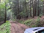 Amazing 22.8 acres only a short walk or bike ride to downtown Roscoe. Come enjoy this raw and recreational lot with drivable deeded logging road accessing and offering so much natural beauty. Multiple building sites throughout depending on your preference. So close to world class fly fishing and hunting. Access most of the property via a ROW road and start building immediately. Must be seen. Water gorges border the North and South sides. Two other lots now included in the sale, 33.-1-32 (1 acre) and 37.-1-74 (1/3 acre), please inquire.