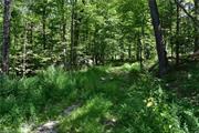 Private gated community. Beautiful 4.5 acre parcel in Tuxedo Park.