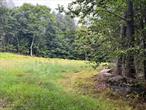 Private secluded 5 acres less than 2 hours to NYC, to build your dream home in the gated Legends on Tanzman community. This lot boasts a homesite cleared and a driveway put in. Surrounded by trees and nature, this property comes w full lake rights for the crystal clear spring-fed Tanzman Lake, a non motorboat lake where the fish are plentiful and kayak&rsquo;s, canoe&rsquo;s, pontoon&rsquo;s and electric fishing boats are permitted.. Buried electric, phone and internet at the road. Less than 2 hours to NYC, with nearby breweries, restaurants, and hiking trails. The cute towns of Parksville, Livingston Manor and Roscoe just a few minutes away. Come and add this new chapter today. No short term Airbnb&rsquo;s allowed but longer two week rentals are now possible. Come see.