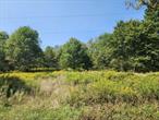 Embrace the opportunity to own this exceptional 4.1 acre lot, just minutes from the picturesque 166-acre Tennanah Lake in Roscoe. Perfect for your dream home or a private retreat, with endless recreational possibilities. Located near beautiful parks and campsites, including Roscoe Campsite and Butternut Grove, itâ€™s a haven for nature lovers and adventure seekers.The lot boasts a peaceful country feel yet is just minutes from downtown Roscoe, offering convenient access to transportation, grocery stores, restaurants, and gas stations. Sullivan County is home to vibrant summer farmerâ€™s markets, a thriving arts community, concerts at Bethel Woods, and the new Resorts World Casino. World-class trout fishing on the Willowemoc Creek and Beaverkill River. Tubing, kayaking, and swimming on the Delaware River. Crystal Lake Wild Forest and Tennanah Lake Golf & Tennis Club within minutes.Discover why the Catskills are buzzing â€”this property is your gateway to all the area has to offer!