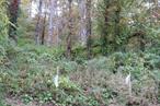 BUILD YOUR DREAM HOME ON THIS BEAUTIFUL GENTLY ROLLING 7.6 ACRE LOT. LOCATED ON A QUIET ROAD. PLANS ARE AVAILABLE FOR A 4+ BEDROOM HOUSE WHICH CAN BE SITUATED OFF THE ROAD TO PROVIDE MAXIMUM USE OF THE LAND WHILE STILL PROVIDING THE PRIVACY ONE WISHES. PLANS AVAILABLE UPON REQUEST.