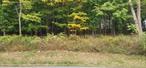 APPROVED BUILDING LOTS *** Great location!!! Build Your Dream Home on 2.41 acres in the Town of New Windsor with Cornwall Schools! This engineered building lot has a well in place and is ready for you to make your dreams a reality. Easy access for commuting, shopping, restaurants, etc. Close to major highways and transportation, yet private enough to enjoy a peaceful retreat.