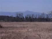 Livingston NY Farm is a 147 acre parcel with full Catskill views open and wooded. Currently leased to local farmer. Ideal for estate or development, possible glamping site. Consists of 3 subdivided parcels each with its own access; 80 acres, 38 acres and 27 acres. Several (5) separated open fields bordered by woods.There are some delineated wetlands. Ideal for family compound, development or glamping/tiny houses. Lots may be purchased separately. 80 acres for $775, 000. 38 acres for $304, 000; 27 acres for $385, 000. Agent-Only Rmrks Broker owned