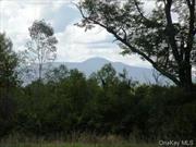 Dramatic Catskill views from 27 acres of woods and mostly farmlands. Currently rented to Farmer. Absolute privacy with private driveway. Excellent perc. Minutes to Hannaford and Hudson and Red Hook. Adjoining parcel of 38 acres also available @ $8, 000/acre. Broker owned.