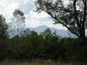 Dramatic Catskill views from 27 acres of woods and mostly farmlands. Currently rented to Farmer. Absolute privacy with private driveway. Excellent perc. Minutes to Hannaford and Hudson and Red Hook. Adjoining parcel of 38 acres also available @ $8, 000/acre. Broker owned. Additional Information: SoilType:Gravel, Loam,