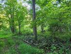 Price improvement...Steal of a Deal...Exceptional property in a residential area. Town of Ulster, the ideal build site to suit your needs... set back to create a very private compound, but so close to all amenities. Adams Fairacre Farms is just down the road, along with all your shopping needs. Minutes to Rt. 209, NYS Thruway, Rhinebeck, Kingston Stockade and the Hudson River. Enjoy building your special home in the midst of nature. Driveway on North side of property Not part of property.