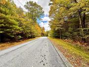 BEAUTIFUL BROOK FRONT 24+ ACRE LEVEL BUILDING LOT IN FORESTBURGH, NY - This is the perfect parcel to build your new home on this quiet road in the Sullivan Catskills. Lot offers a mix of mature hardwood/evergreens for year round beauty and with Black Brook on the property you have the perfect setting.  You can easily create trails for ATV riding, snow shoeing all on your own property.  Utility pole is at the corner of the property and electric can easily be available for the new home site. BONUS - only a few miles away you have the Mongaup Valley Wildlife Management Area that consists of over 6000 acres of state land for hiking, hunting/fishing where you can enjoy nature at it&rsquo;s best. Approximately 2+ hrs from NYC,  20 minutes to trains makes this special home a very easy commute. Close by you&rsquo;ll find many quaint towns for dining/shopping, the Delaware River for rafting/fishing, Bethel Woods Preforming Arts Center, Kartrite Indoor Water Park, Resorts World Casino, skiing at Holiday Mountain/Big Bear at Masthope Mountain, many amazing hiking/biking trails and absolutely the best farmers markets you&rsquo;ll find anywhere, all for a very beautiful life in the country.