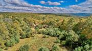 UNIQUE 9 ACRE BUILDING LOT IN BARRYVILLE, NY - This parcel at one time had a cleared area that allowed for magnificent views of the PA mountains, as can be seen in an older photograph in the listing.  The driveway and field were also cleared at one point but will need some cleanup to get it where it was. Located on a quiet road above the Delaware River this lot promises to be the perfect setting for a special home. Also on the lot are old stone walls, beautiful mature trees,  a large field for lots of sun, gardens and stargazing promises to be spectacular. Approximately 2+ hrs from NYC,  20 minutes to trains makes this special home a very easy commute. Close by you&rsquo;ll find many quaint towns for dining/shopping, the Delaware River for rafting/fishing, Bethel Woods Preforming Arts Center, Kartrite Indoor Water Park, Resorts World Casino, skiing at Holiday Mountain/Big Bear at Masthope Mountain, many amazing hiking/biking trails and absolutely the best farmers markets you&rsquo;ll find anywhere, all for a very beautiful life in the country.