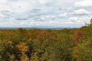 Beautiful 63 acre parcel located on quiet country road. Incredible Catskill Mountain views from center ridge of parcel, creating several attractive homesites. Loaded with impressive features such as an established pond site on the north west corner, meandering streams and stonewalls. Conducive to a multitude of uses and situated amongst large undeveloped parcels and neighboring farmland. Perfect for farming, livestock, hunting or recreational use via an existing trail system. Directly across the street from Freedom Park, offering access to Freedom Lake for swimming, hiking trails, volleyball & basketball courts, pavilion & concessions. Located just minutes from the Taconic State Parkway, Route 55 & Route 44 with easy access to the Village of Millbrook & Pawling. An exceptional opportunity to build your dream home in a nature lover&rsquo;s paradise.