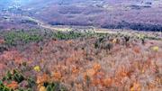 Discover 184 acres of untouched beauty in Margaretville, NY! This expansive residential land offers road frontage on State Highway 30, providing easy access while preserving a sense of seclusion. A nature lover&rsquo;s dream, the property features a mix of gently sloped and steep terrains, with dense woodlands, and breathtaking open meadow and mountain views. Whether you&rsquo;re envisioning a private estate, a retreat, or a development project, this blank canvas of land provides endless possibilities in the heart of the Catskills. A rare opportunity to own a vast stretch of land with natural charm and serenity. Surveys and topo map available in documents.