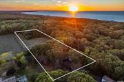 This prime Southold property offers a fantastic opportunity for subdivision and development! Spanning over 4 acres, surrounded by development rights sold land and only half a mile to McCabes Beach, this idyllic North Fork property is ready to change hands, and this rare offering has incredible potential. Some ideas include subdividing the property and building another home on the back piece or updating and expanding the current residence to create a spectacular estate! The property includes a solid, well-built home from 1967 with a modernized kitchen and updated bathrooms (2020), oak wood floors throughout the first floor (under the carpets), Central Air Conditioning (on the first floor, but can be easily added to the second floor), generator, and a cozy living room with wood burning fireplace. The dining area has sliders to a large wood deck overlooking forever farm views.  Other amenities include a two-car garage and a full, dry basement. The home is currently on well water with a filtration system, but public water in the street is available for hookup if desired. The roof was replaced about 10 years ago with 30-year shingles & the driveway was repaved within the last year. This property is not only well-maintained but also ready for your vision. Opportunities like this are rare, so don&rsquo;t miss out!