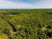 This magnificent 82-acre parcel of untouched land, set on the breathtaking North Lake of Elizaville&rsquo;s Twin Lakes, is an extraordinary opportunity for a discerning buyer. With 750 feet of pristine lake frontage and a wooded landscape, the property offers endless potential for a luxury lakefront estate or development. Located just minutes from Hudson and Millerton, this private sanctuary is perfect for those seeking tranquility, with paddle boat-only access preserving the serene atmosphere. Create a legacy of summers filled with joy and unforgettable moments.