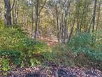 Small level lot, convenient to Millerton NY on quiet dead end road with little traffic.