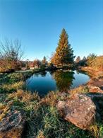 Stamford, NY. Scenic southern exposure and waterfalls which run all year round!!!  Gorgeous waterfront views. 4, 20 ft deep ponds, natural spring water and a 25-acre lake located directly across the street. Accessible via paved road with telephone and electricity. The waterfalls were created from 10-20 ton megalithic blue stone quarried from the mountain. There are no pumps to move the water, it always runs and is the headwaters of the Delaware River.