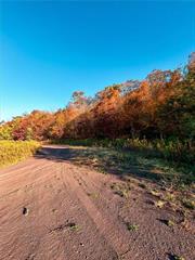 Welcome to the Sedona of the East. Feel like a King or Queen on throne at the very top of Castle Mountain. This 25 acre property can be multipurposed and has 360 degree views and a 179 mile view of the Catskills, Adirondacks and Berkshires. This property has enough roadway for a private landing strip and at the very summit there is a natural spring fed pond, fire pit, and plenty of wooded area. Enjoy the ambience and energy of Castle Mountain along with the gorgeous neighboring town of Stamford.