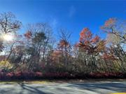 Come discover the perfect canvas for your Catskills dream home on this 3.6 acre lot in the hamlet of Glen Spey!  Wooded, level lot with mature trees has access to utilities on road.  Close to area attractions Bethel Woods, Kartright water park, Resorts World casino, Forestburgh Playhouse, and the Delaware River for abundant recreation opportunities. 15 minutes from Port Jervis and Monticello for shopping and restaurants, and NJ Transit train & Shortline bus for easy access to NYC.