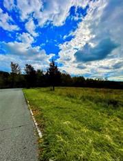 Amazing opportunity to own this 6.3 Acre Lot in Monroe School District, Drilled Well and Electric on site, survey available, Level lot with panoramic views surrounded by exclusive homes. Come build your dream home only 60 Miles to NYC/Minutes to RT17/17M/I87