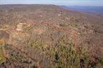 A nature-filled land offering in the charming historic hamlet of Cragsmoor. 31 private acres, once part of the 350- acre estate called Chetolah owned by the artist George Inness Jr. is ready for its next owner. The property is located on-top the Shawangunk mountain range with multiple land preserves, the largest being 5000-acre Sam&rsquo;s Point which is hiking distance from the parcel. With some selective tree clearing there would be stunning south and south-west views. A soothing stream called the Platte Kill that is flanked by rhododendrons and meanders through the lower portion of the property is an ideal spot to place a gazebo and enjoy the many dipping pools. An old roadbed is still intact and usable when considering possible house sites. There is frontage stretching on both Cragsmoor and Vista Maria roads. There are multiple scenic spots for homesites that offer privacy and serenity. Within 2 hours of the GW bridge makes this a great weekend retreat or use full time.