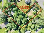 Amazing opportunity on quiet Wesley Hills cul-de-sac, 1.2 acres of private wooded property including barn! Build your dream home or update the existing 3200+ sq ft home. Beautiful privacy screen from neighbors, endless possibilities! Street boasts many new construction homes, perfect spot to build your own!