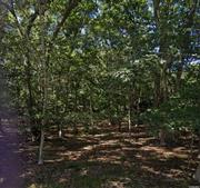 East Hamton Buildable Lot Build your dream on this tranquil street. Just over half acre lot will support a two story 4000+ sq ft home with room for pool, pool house and garage. Low taxes, great value. Buy it today, they don&rsquo;t make land anymore.