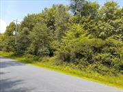 Own your own forest! 102 beautiful acres to build your dream country home, hike the property, and explore. Approximately 300 feet of frontage on White Roe Lake Road. Plus additional opportunity: adjacent to the property is an available classic Catskill cottage on separate 2.3 acre lot.