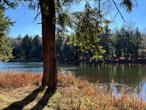 9.34 incredible acres. Desirable, captivating, one of a kind building site, can be your dream getaway escape to non motor boat, fish, kayak, swim, eagle watch, etc. This lot, with 95% of its very own, nearly 4 acre private lake, boasts being the only one of its kind within Legends on Tanzman. With the HOA, of $69 a month, you will also have full access to the clear beautiful 27+ acre Tanzman Lake itself, as well as its members only private beach area with boat storage coming soon. The slightly perched buildable areas on this lot are nice and flat and gently sloping with manageable old growth pine and deciduous trees, offering wonderful views from virtually anywhere of this clear and shimmering pond w no duck weed at all. Roscoe, Livingston Manor and Liberty all very close by. Must be seen to be fully appreciated. The potential will take your breath away. This one is special!