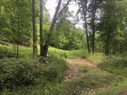 This 10.71 acre lot C is located on a scenic quiet dirt road in Milan township. This lot features: an open area for a home site, a rough driveway to possible house sites, mature woods, road frontage, stone walls and an abundance of wild life. Build your private dream home. Property has been subdivided with an approved driveway entrance and perk tests were completed and passed. New survey available. Located only minutes to Rhinebeck village, the Taconic PKWY or Omega institute., IMPROVMNTS:Drive, Rough Graded, Other School:PRIVATE