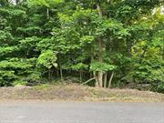 Come take a look at this 100 X 175 lot located on a dead-end street. Property would be on well and septic. Close to shopping, train and restaurants.