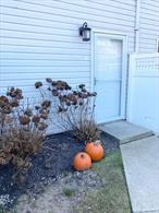 Beautiful legal one-bedroom apartment located in a quiet neighborhood, off Nicholls Road (CR 97) in South Setauket. This apartment is freshly painted and features a modern kitchen with a new refrigerator, gas stove, and microwave, along with ample cabinet space. The bathroom has been updated with a new vanity, medicine cabinet, and mirror. A brand-new carpet has been installed in the living room. A few steps up from the living room, is a spacious bedroom which boasts cathedral ceilings and a large closet with additional storage on top. Enjoy the convenience of a small private outdoor space, central air conditioning and the ease of all-inclusive utilities, including WiFi and your own cable box! Situated just 4 miles from Stony Brook, within easy reach of Port Jeff Village, Mather Hospital, shopping, dining, and public transportation, this location offers unparalleled convenience. Please note, no pets, no smoking, and no laundry facilities on the premises. Available immediately!