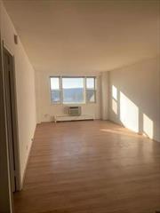 $679 maintenance month, mandatory cable/internet $78 month, gas included, 24 hour doorman, concierge, lots of street parking, laundry room in basement, cafe on site Included amenities: outdoor pool, fitness center, pavilion, basketball courts and tennis courts.. Owner has a real estate license in NY.