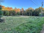 1 of 2 lots adjacent to each other. See MLS # 806469 for adjacent lot. Total of 6.01 acres together. This lot has some cleared land, mostly wooded. Close to Rte 17 Exit & entrance for easy commuting. 15 mins to Commuter busses & trains in Middletown. Close to Resorts World Catskill, The Kartrite indoor Water Park, Holiday Mt Ski park, Sullivan County Community College & Garnet Health Medical Center Catskill.